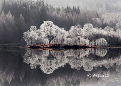Winter Reflection