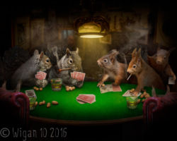 Playing for Nuts by Phil Barber