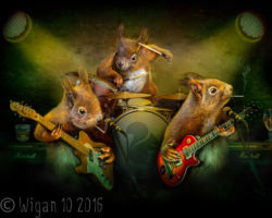 Squirrel Rock by Phil Barber