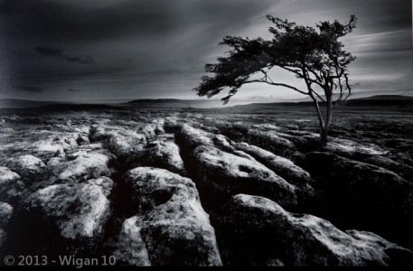 Survivor by Kathryn Scorah Amateur Photography L&CPU Competition