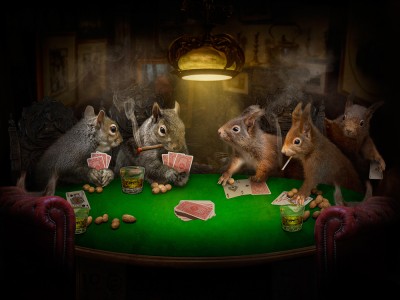 Playing for nuts by Phil Barber Playing for nuts by Phil Barber