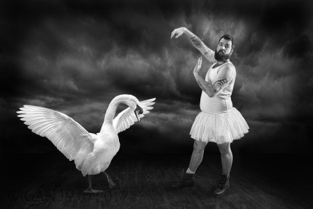 Swan Lake the Sequel by Lynne Morris Swan Lake the Sequel by Lynne Morris