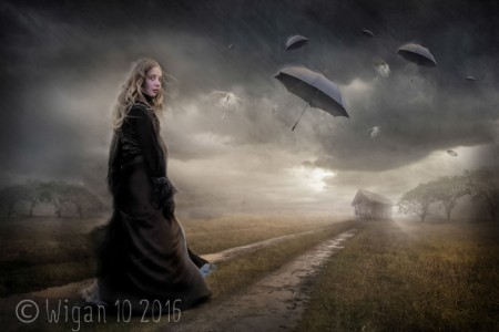 Shelter Me by KT Allen Shelter Me by KT Allen