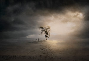 Solitude by KT Allen