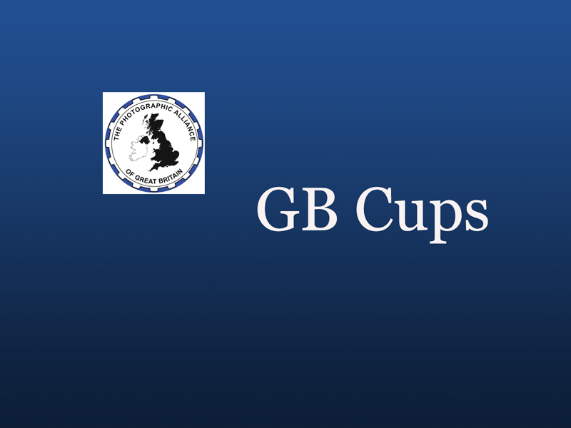 GB Cups