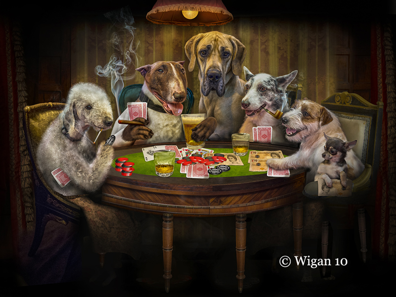 Dogs Behaving Badly by Phil Barber