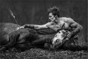 Death Of A Great Horse