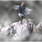 Horseman of the Mists by Phil Charnock Amateur Photography Club