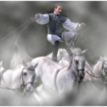 Horseman of the Mists by Phil Charnock Amateur Photography Club