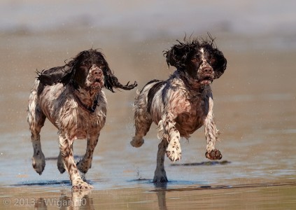 Exhausted and Energetic by Austin Thomas L&CPU 2013 Digital Amateur Photograph