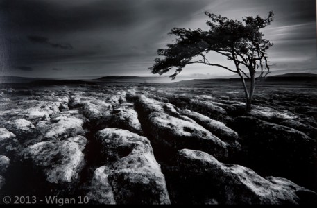 Survivor by Kathryn Scorah Amateur Photography L&CPU Competition