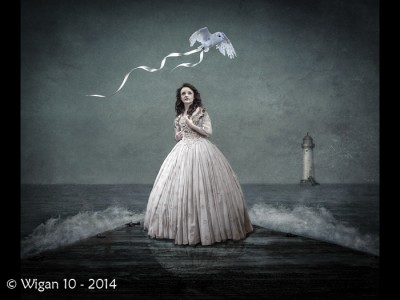 Fly Away Home by Joan Blease Amateur Photography Club PAGB PDI Championships 2014