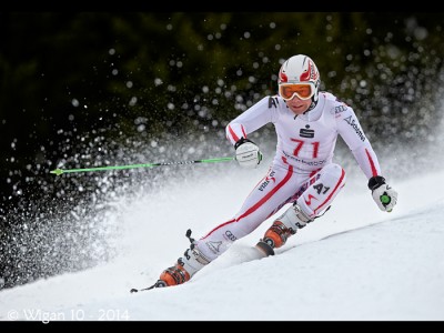 Gerhard Mueller - Audi Cup Austria by Austin Thomas Amateur Photography Club PAGB PDI Championships 2014