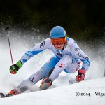 A1 Skier by Austin Thomas FIAP World Cup 2014 Amateur Photography Club