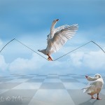 Don't Look Down Don't Look Down - Amateur Photography