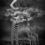 Long Tall Sally Long Tall Sally - Amateur Photography