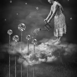 Lucy in the Sky with Diamonds Lucy in the Sky with Diamonds - Amateur Photography