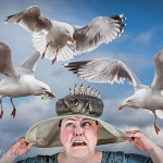 Mrs Haddock's Hat Mrs Haddock's Hat - Amateur Photography