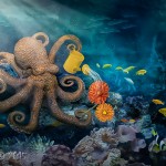 Octopuses Garden Octopuses Garden - Amateur Photography