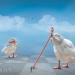 The Early Bird The Early Bird - Amateur Photography