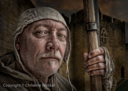 Defender by Christine Widdall