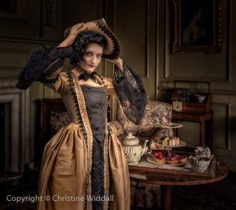 Home for Tea by Christine Widdall