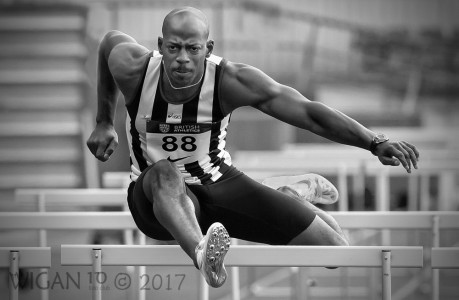 At Full Stretch by Ed Roper At Full Stretch by Ed Roper