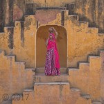 Shy Rajasthan Water Carrier by Robert Millin