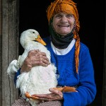 I Love My Duck by Robert Millin I Love My Duck by Robert Millin