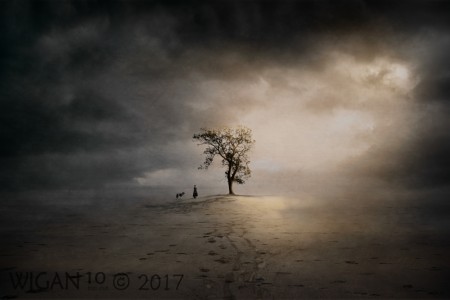 To Solitude by KT Allen To Solitude by KT Allen