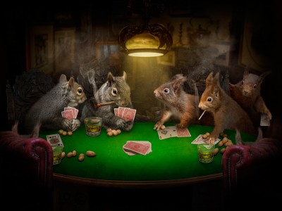 Playing for nuts by Phil Barber Playing for nuts by Phil Barber