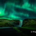 Damian_Running Green Damian_Running Green
