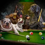 Phil_Hair of the dog Phil_Hair of the dog