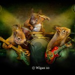 Phil_Squirrel Rock Phil_Squirrel Rock