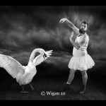 Lynne_SWAN LAKE-THE SEQUEL Lynne_SWAN LAKE-THE SEQUEL