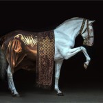 Image of Lusitano stallion Caicai Das Arcas