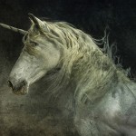 In The Fields Of Avalon