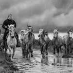 Camargue in the rain Rider In The Storm