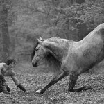 Ben Atkinson and Sebastian The Pact